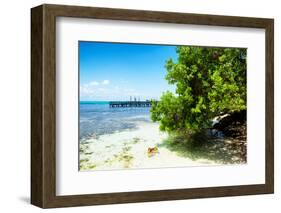 ¡Viva Mexico! Collection - Peaceful Paradise - Isla Mujeres-Philippe Hugonnard-Framed Photographic Print