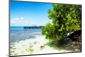 ¡Viva Mexico! Collection - Peaceful Paradise - Isla Mujeres-Philippe Hugonnard-Mounted Photographic Print
