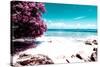 ¡Viva Mexico! Collection - Pink Caribbean Coastline - Isla Mujeres-Philippe Hugonnard-Stretched Canvas