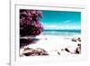 ¡Viva Mexico! Collection - Pink Caribbean Coastline - Isla Mujeres-Philippe Hugonnard-Framed Photographic Print