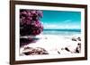 ¡Viva Mexico! Collection - Pink Caribbean Coastline - Isla Mujeres-Philippe Hugonnard-Framed Photographic Print