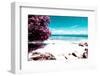 ¡Viva Mexico! Collection - Pink Caribbean Coastline - Isla Mujeres-Philippe Hugonnard-Framed Photographic Print