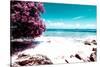 ¡Viva Mexico! Collection - Pink Caribbean Coastline - Isla Mujeres-Philippe Hugonnard-Stretched Canvas