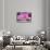 ¡Viva Mexico! Collection - Pink "Estrella"-Philippe Hugonnard-Framed Stretched Canvas displayed on a wall