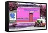 ¡Viva Mexico! Collection - Pink "Estrella"-Philippe Hugonnard-Framed Stretched Canvas