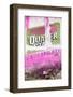 ¡Viva Mexico! Collection - Pink Grunge Wall-Philippe Hugonnard-Framed Photographic Print