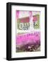 ¡Viva Mexico! Collection - Pink Grunge Wall-Philippe Hugonnard-Framed Photographic Print
