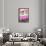 ¡Viva Mexico! Collection - Pink Grunge Wall-Philippe Hugonnard-Framed Photographic Print displayed on a wall