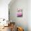 ¡Viva Mexico! Collection - Pink Grunge Wall-Philippe Hugonnard-Photographic Print displayed on a wall