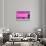 ¡Viva Mexico! Collection - Pink Line-Philippe Hugonnard-Stretched Canvas displayed on a wall