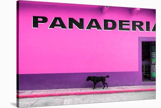 ¡Viva Mexico! Collection - Pink Line-Philippe Hugonnard-Stretched Canvas