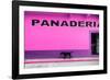 ¡Viva Mexico! Collection - Pink Line-Philippe Hugonnard-Framed Photographic Print