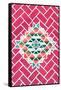 ¡Viva Mexico! Collection - Pink Mosaics-Philippe Hugonnard-Framed Stretched Canvas