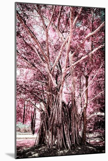 ¡Viva Mexico! Collection - Pink Tree Centenary-Philippe Hugonnard-Mounted Photographic Print