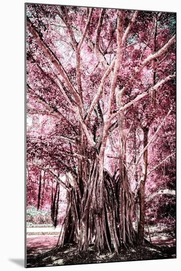 ¡Viva Mexico! Collection - Pink Tree Centenary-Philippe Hugonnard-Mounted Premium Photographic Print