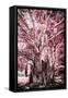 ¡Viva Mexico! Collection - Pink Tree Centenary-Philippe Hugonnard-Framed Stretched Canvas
