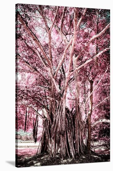 ¡Viva Mexico! Collection - Pink Tree Centenary-Philippe Hugonnard-Stretched Canvas