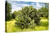 ¡Viva Mexico! Collection - Prickly Pear Cactus III-Philippe Hugonnard-Stretched Canvas