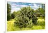 ¡Viva Mexico! Collection - Prickly Pear Cactus III-Philippe Hugonnard-Framed Photographic Print