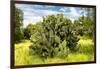 ¡Viva Mexico! Collection - Prickly Pear Cactus III-Philippe Hugonnard-Framed Photographic Print