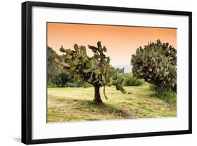 ¡Viva Mexico! Collection - Prickly Pear Cactus-Philippe Hugonnard-Framed Photographic Print