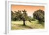 ¡Viva Mexico! Collection - Prickly Pear Cactus-Philippe Hugonnard-Framed Photographic Print