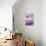 ¡Viva Mexico! Collection - Purple Grunge Wall-Philippe Hugonnard-Stretched Canvas displayed on a wall