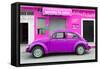 ¡Viva Mexico! Collection - Purple Volkswagen Beetle Car-Philippe Hugonnard-Framed Stretched Canvas