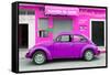 ¡Viva Mexico! Collection - Purple Volkswagen Beetle Car-Philippe Hugonnard-Framed Stretched Canvas