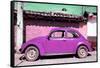 ¡Viva Mexico! Collection - Purple Volkswagen Beetle-Philippe Hugonnard-Framed Stretched Canvas