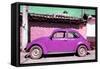 ¡Viva Mexico! Collection - Purple Volkswagen Beetle-Philippe Hugonnard-Framed Stretched Canvas