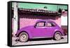 ¡Viva Mexico! Collection - Purple Volkswagen Beetle-Philippe Hugonnard-Framed Stretched Canvas