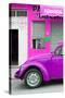 ¡Viva Mexico! Collection - Purple VW Beetle Car-Philippe Hugonnard-Stretched Canvas