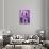 ¡Viva Mexico! Collection - Purple Wall-Philippe Hugonnard-Photographic Print displayed on a wall