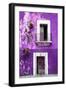 ¡Viva Mexico! Collection - Purple Wall-Philippe Hugonnard-Framed Photographic Print