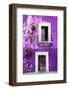 ¡Viva Mexico! Collection - Purple Wall-Philippe Hugonnard-Framed Photographic Print