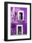 ¡Viva Mexico! Collection - Purple Wall-Philippe Hugonnard-Framed Photographic Print