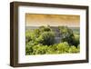 ¡Viva Mexico! Collection - Pyramid in Mayan City at Sunset of Calakmul-Philippe Hugonnard-Framed Photographic Print