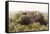 ¡Viva Mexico! Collection - Pyramid in Mayan City of Calakmul-Philippe Hugonnard-Framed Stretched Canvas