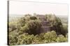 ¡Viva Mexico! Collection - Pyramid in Mayan City of Calakmul-Philippe Hugonnard-Stretched Canvas