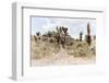 ¡Viva Mexico! Collection - Pyramid of Cantona IV - Puebla-Philippe Hugonnard-Framed Photographic Print