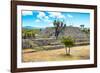 ¡Viva Mexico! Collection - Pyramid of Cantona - Puebla-Philippe Hugonnard-Framed Photographic Print