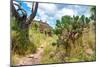 ¡Viva Mexico! Collection - Pyramid of Cantona V - Puebla-Philippe Hugonnard-Mounted Photographic Print