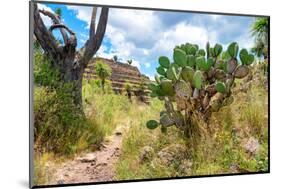 ¡Viva Mexico! Collection - Pyramid of Cantona V - Puebla-Philippe Hugonnard-Mounted Photographic Print