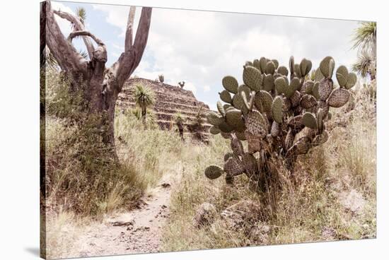 ¡Viva Mexico! Collection - Pyramid of Cantona VI - Puebla-Philippe Hugonnard-Stretched Canvas