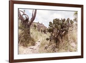 ¡Viva Mexico! Collection - Pyramid of Cantona VI - Puebla-Philippe Hugonnard-Framed Photographic Print