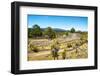 ¡Viva Mexico! Collection - Pyramid of Cantona XI - Puebla-Philippe Hugonnard-Framed Photographic Print