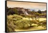¡Viva Mexico! Collection - Pyramid of Monte Alban with Fall Colors II-Philippe Hugonnard-Framed Stretched Canvas