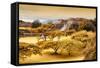 ¡Viva Mexico! Collection - Pyramid of Monte Alban with Fall Colors-Philippe Hugonnard-Framed Stretched Canvas