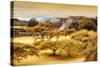 ¡Viva Mexico! Collection - Pyramid of Monte Alban with Fall Colors-Philippe Hugonnard-Stretched Canvas